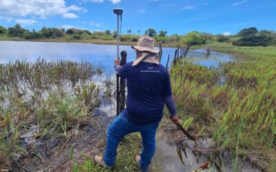 Certificação de Imóveis Rurais